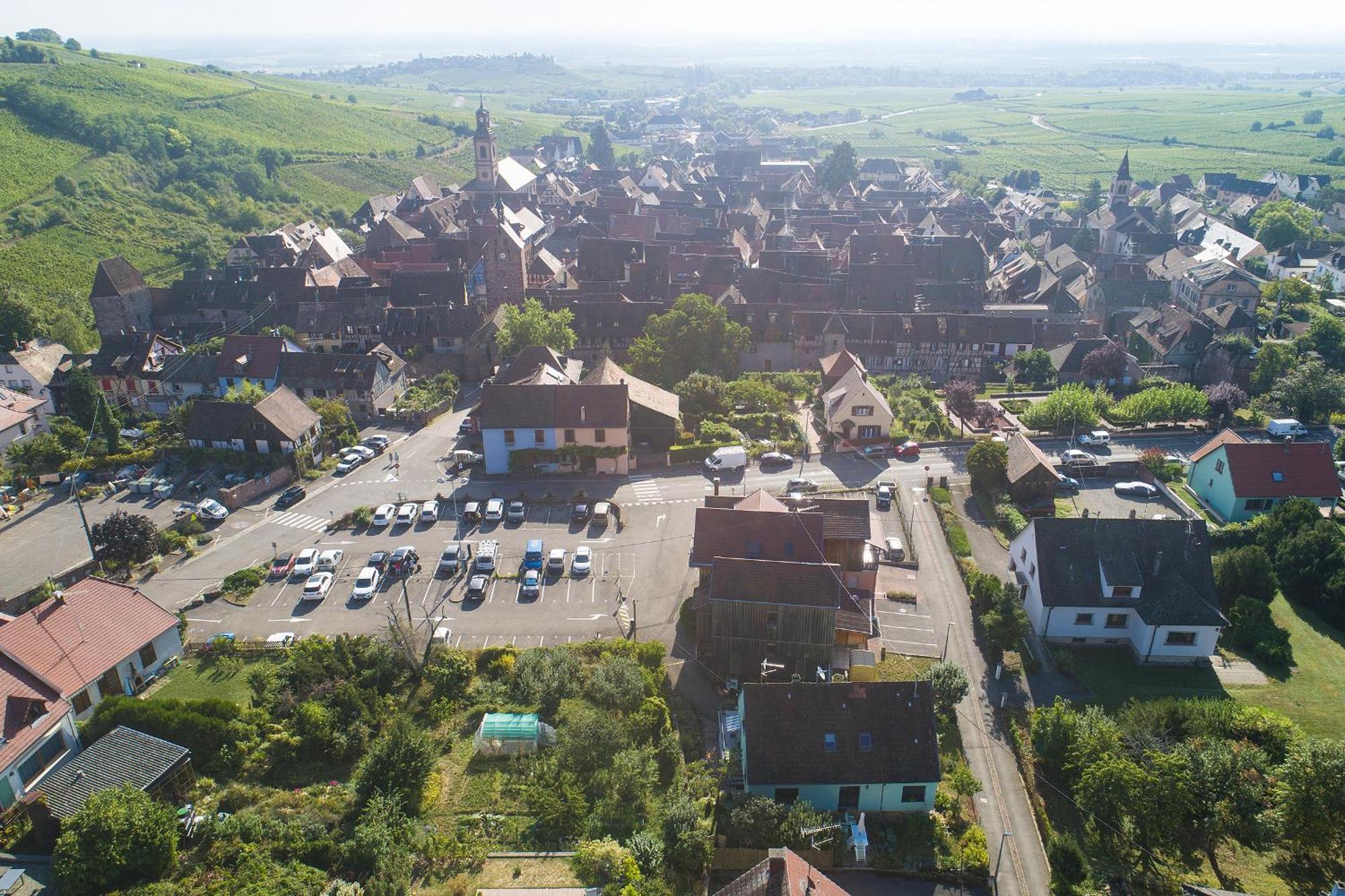 GEWURZTRAMINER - Joli studio au pied du vignoble Riquewihr Extérieur photo